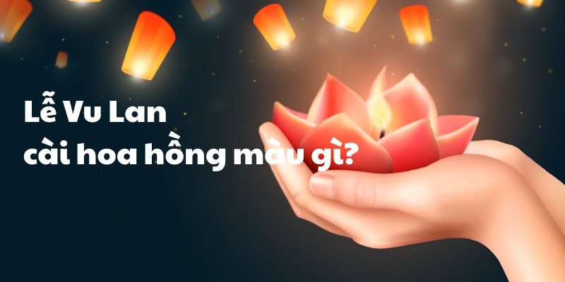 Lễ Vu Lan cài hoa hồng màu gì?