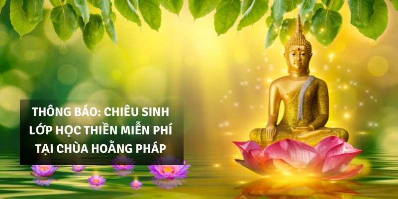 Lớp học thiền miễn phí