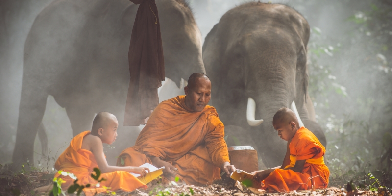 Tâm niệm được nuôi dưỡng bởi từ, bi, hỷ, xả, chúng ta sẽ tạo ra những hành động thiện lành