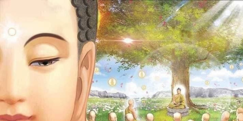 Dược Vương Bồ Tát là vị Bồ Tát chuyên chữa bệnh cho chúng sinh bằng các loại thảo dược và phương pháp y học