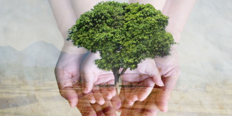 Thực hành 10 ngày Thập Trai giúp bảo vệ môi trường 