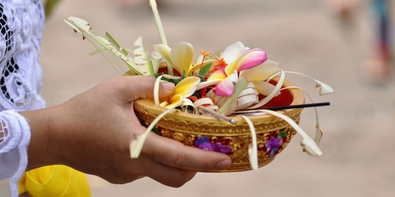 Hoa trái phước lành từ hạnh cúng dường