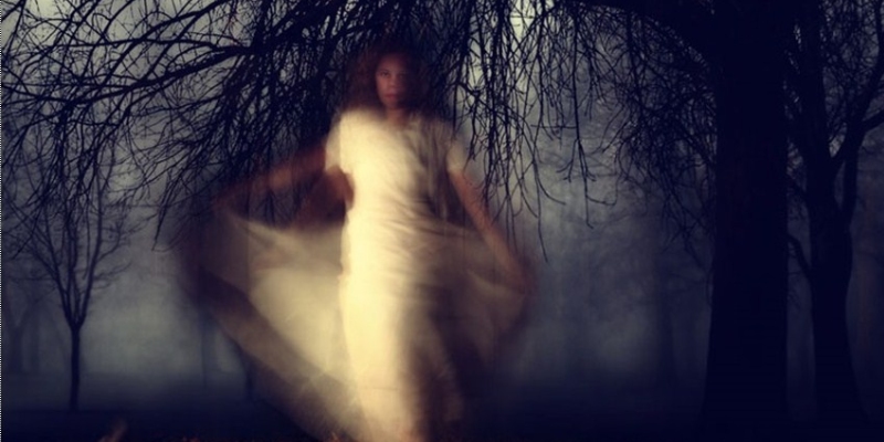 Giấc mơ luôn là một vùng đất bí ẩn, nơi ranh giới giữa thực và ảo trở nên mờ nhạt